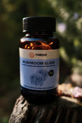 Mushroom Elixir