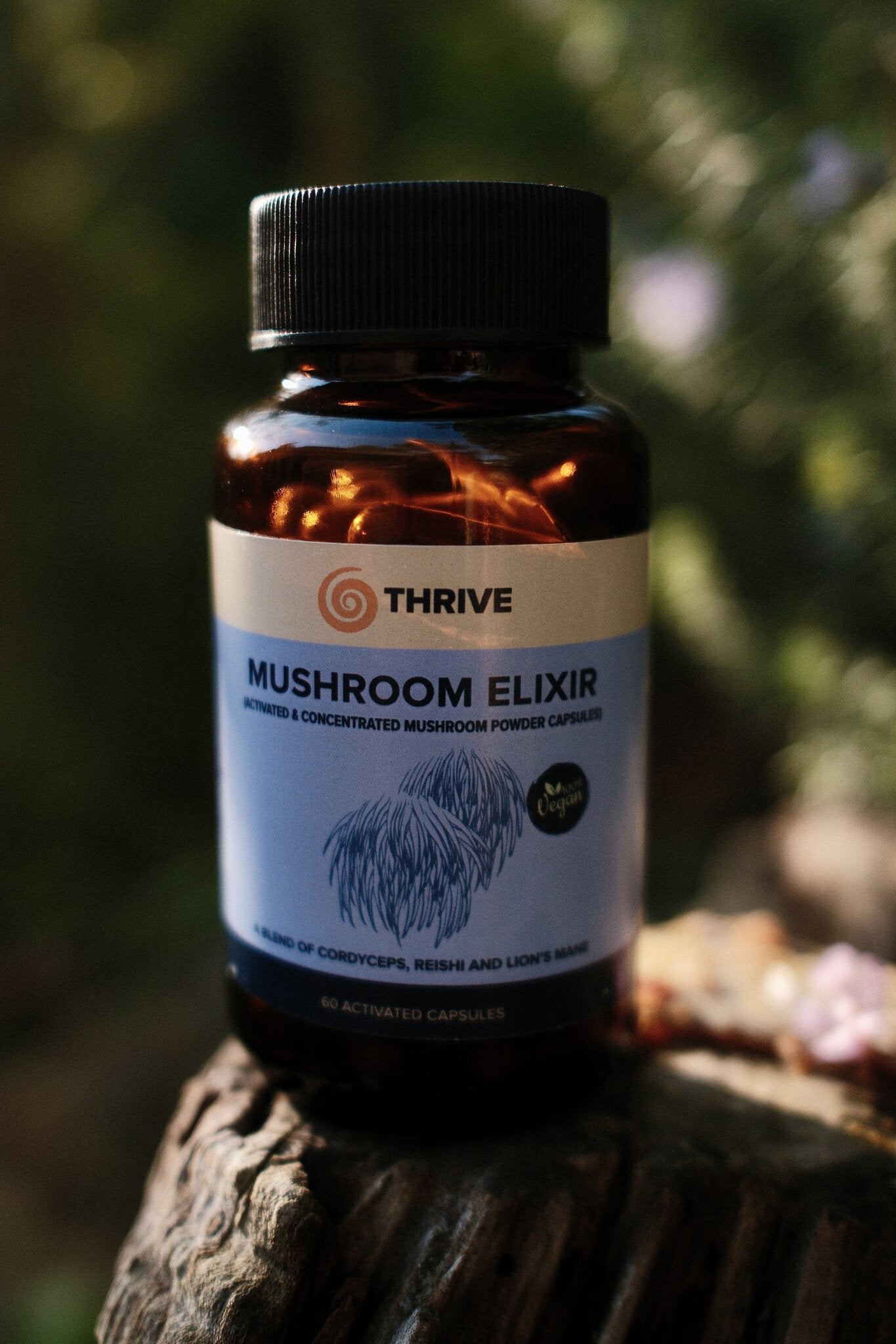 Mushroom Elixir
