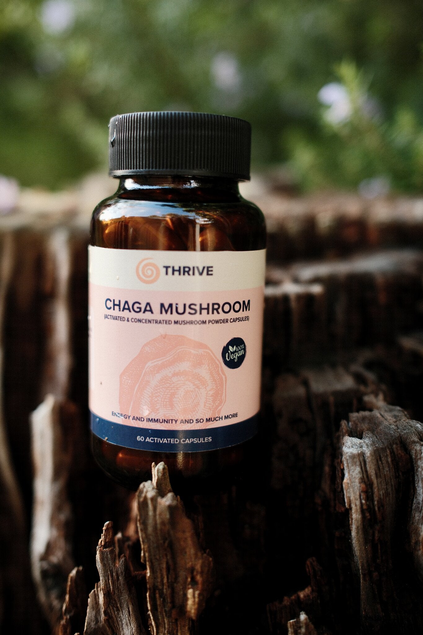 Chaga Mushroom