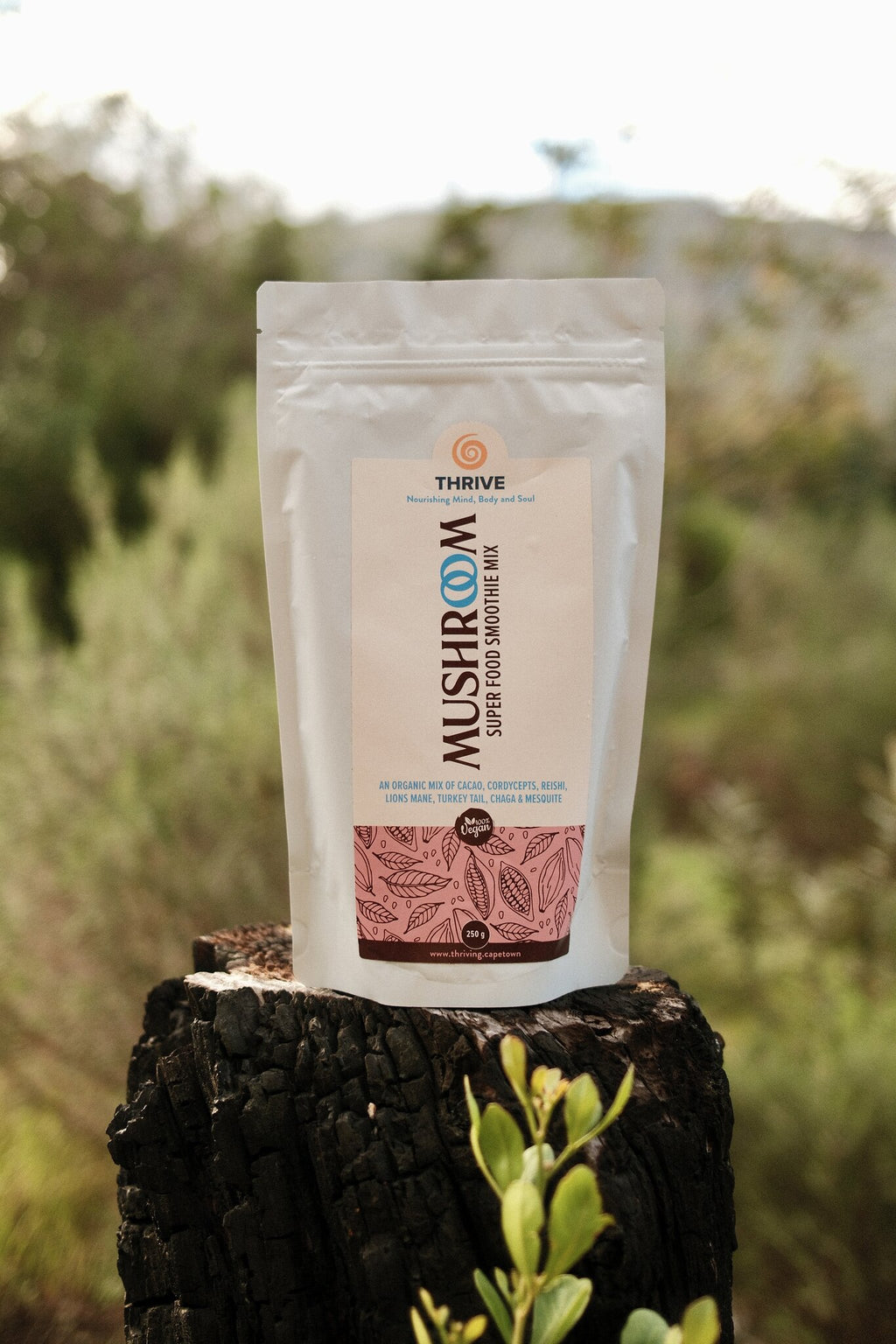 Mushroom Cacao Blend