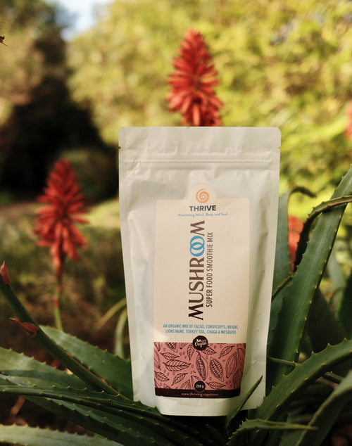 Mushroom Cacao Blend
