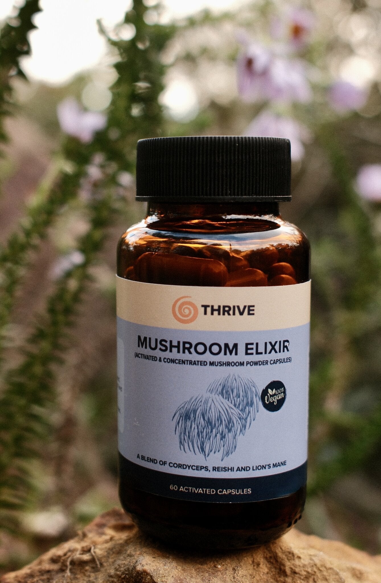 Mushroom Elixir