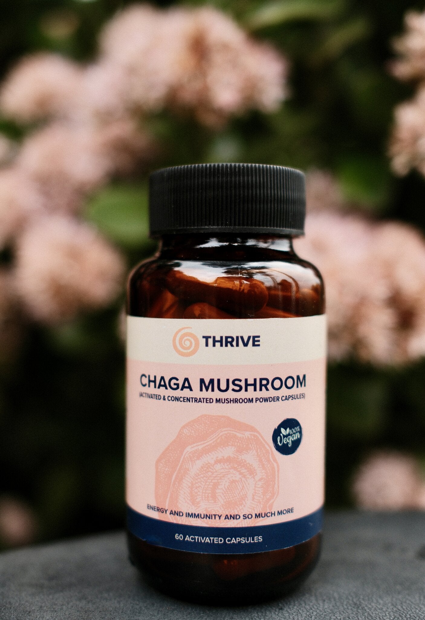 Chaga Mushroom