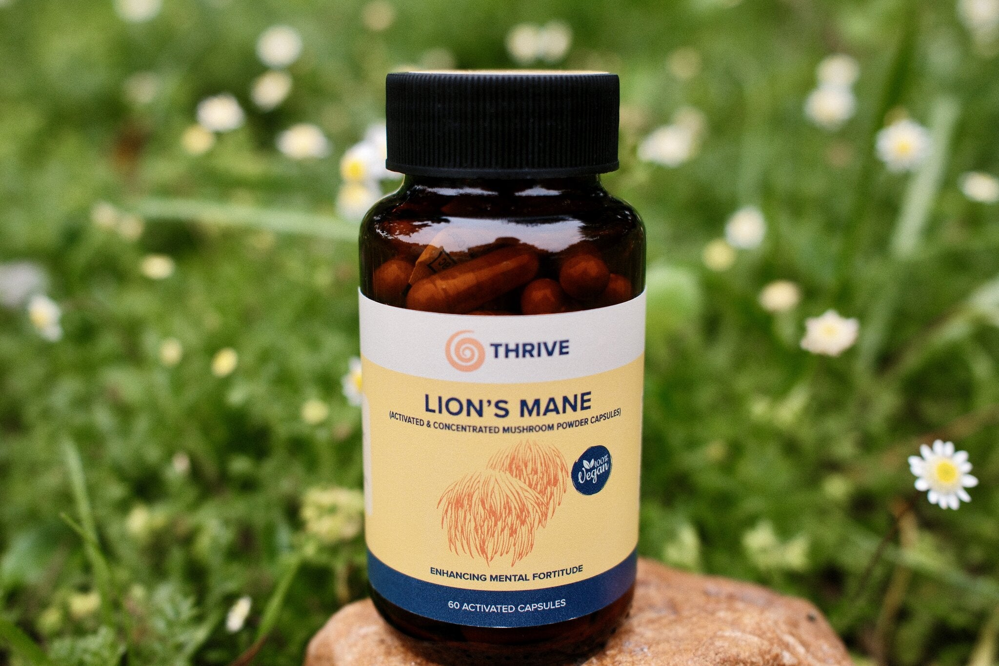 Lion's Mane